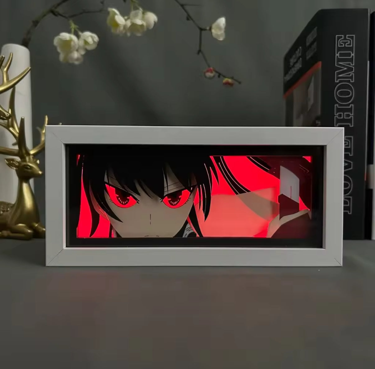 Akame Ga Kill Anime Light Box brillant de lumière allumée, lumières de la pièce visibles, par myanimelightbox