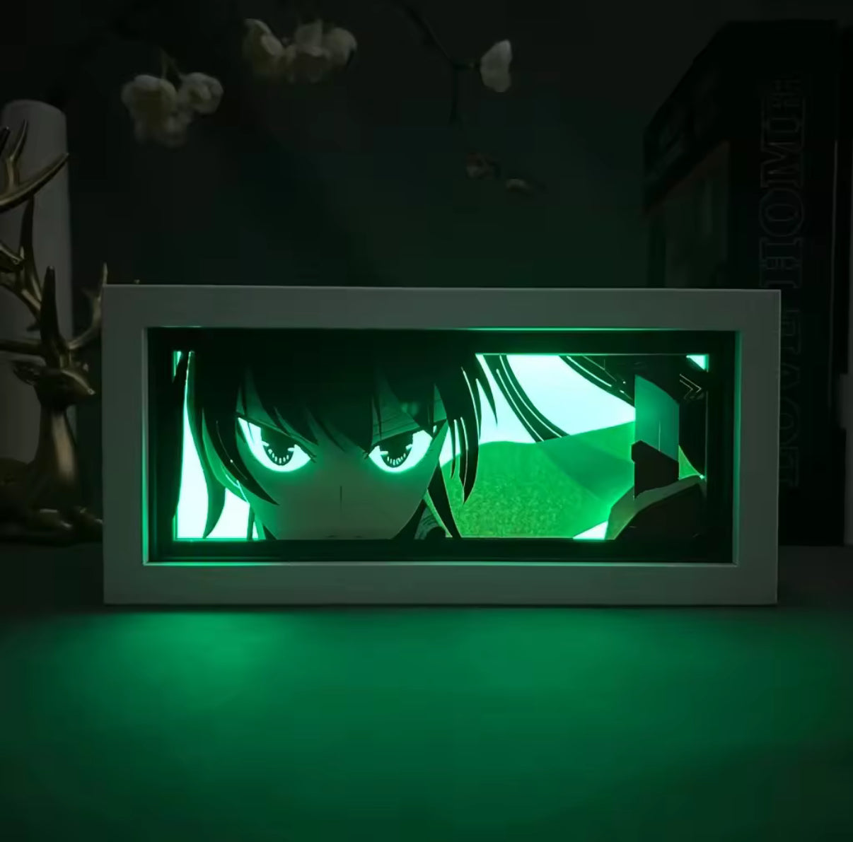 Akame GA Kill Light Box
