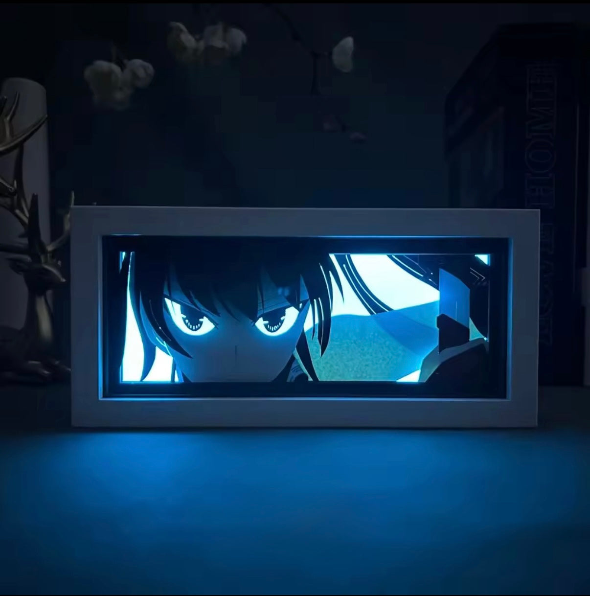 Akame GA Kill Light Box